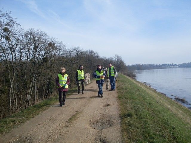 loire propre 2015 (9).jpg